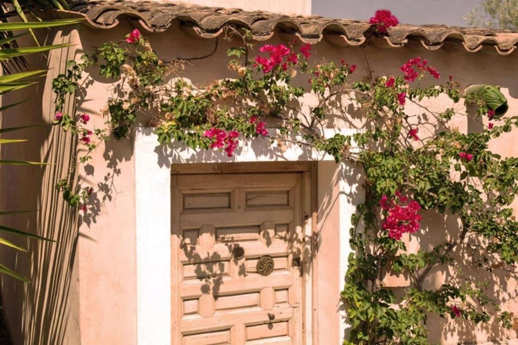 Sitges Hill Retreats-Masia Nur 22 Bedrooms Divided Over 9 Houses For Max 44 Guests Canyelles  Dış mekan fotoğraf